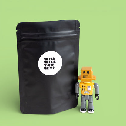 The Roblox Mystery Bag