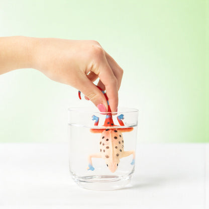 The Lizard Surprise Bag