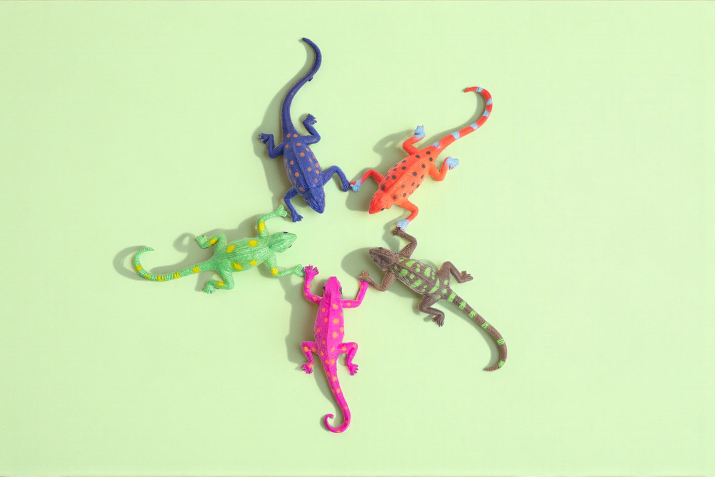 The Lizard Surprise Bag