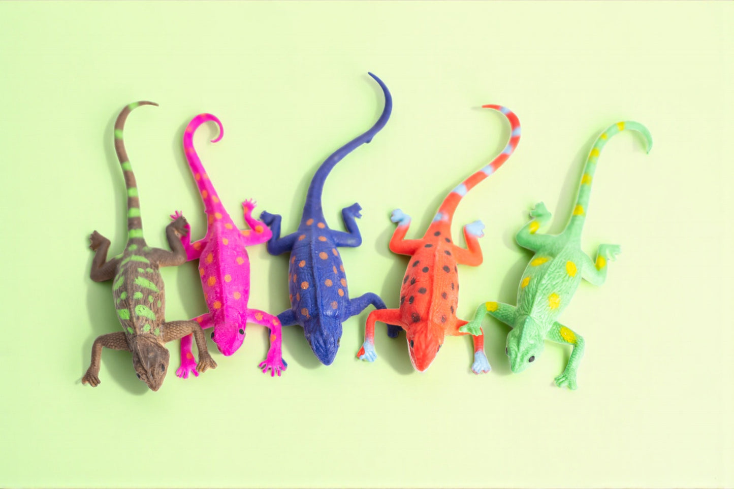 The Lizard Surprise Bag