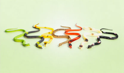 The Lizard Surprise Bag