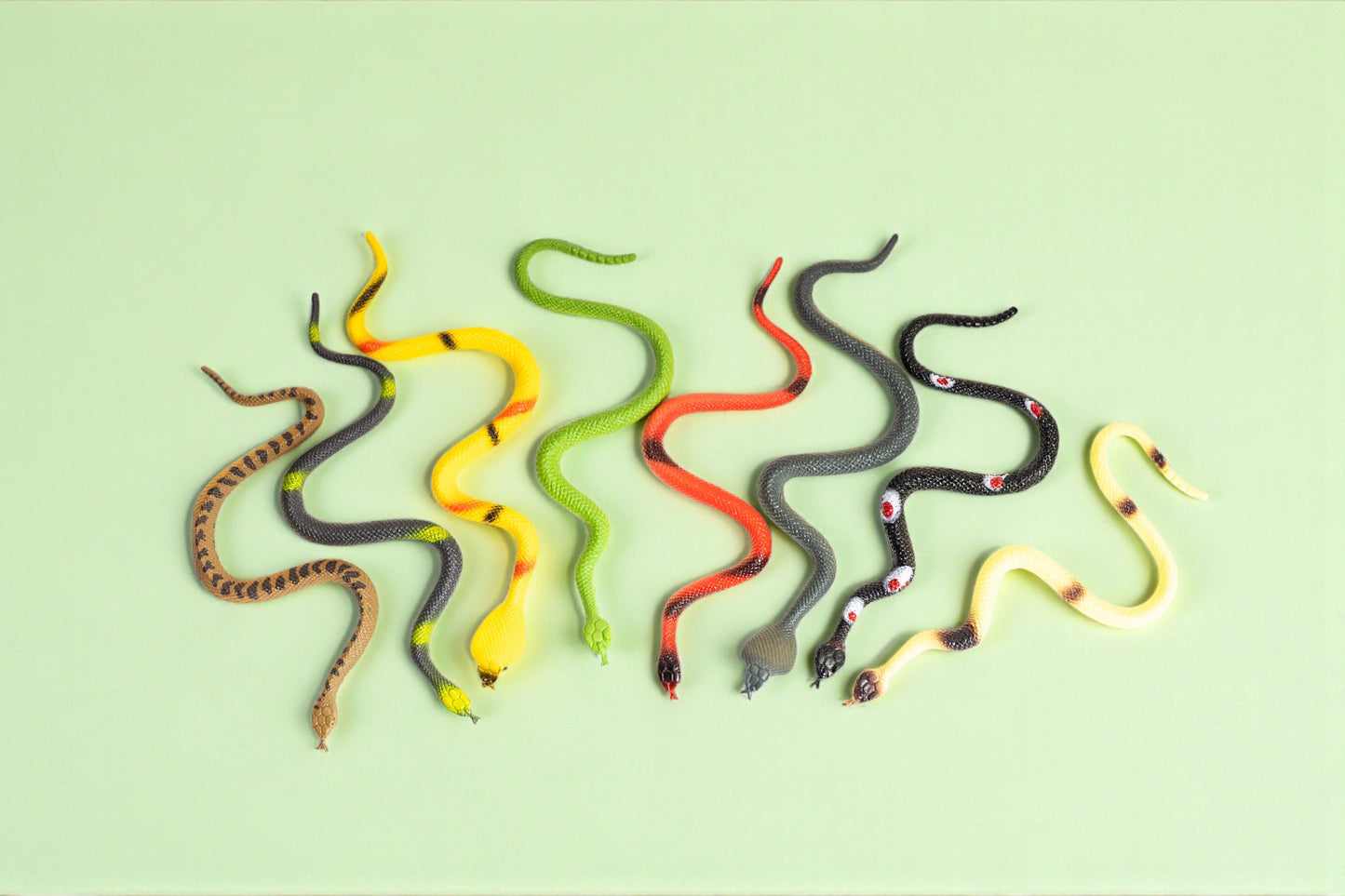 The Lizard Surprise Bag