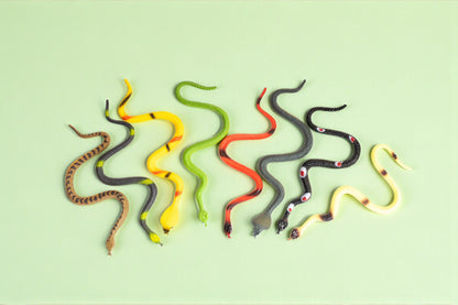 The Lizard Surprise Bag