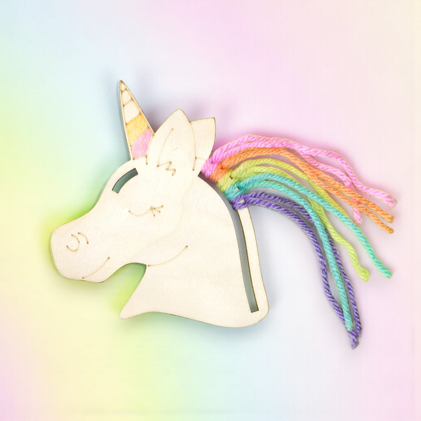 The Unicorn Craft Bag