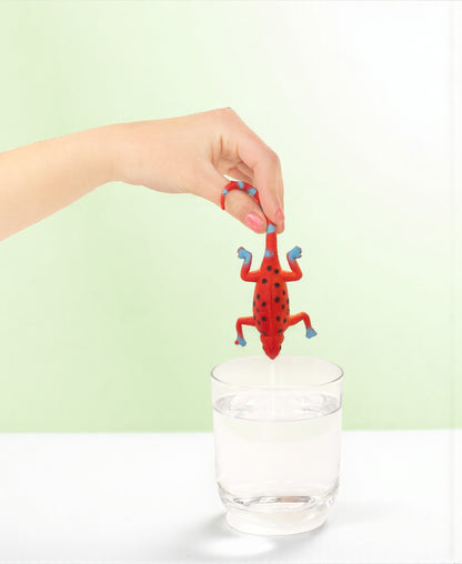 The Lizard Surprise Bag